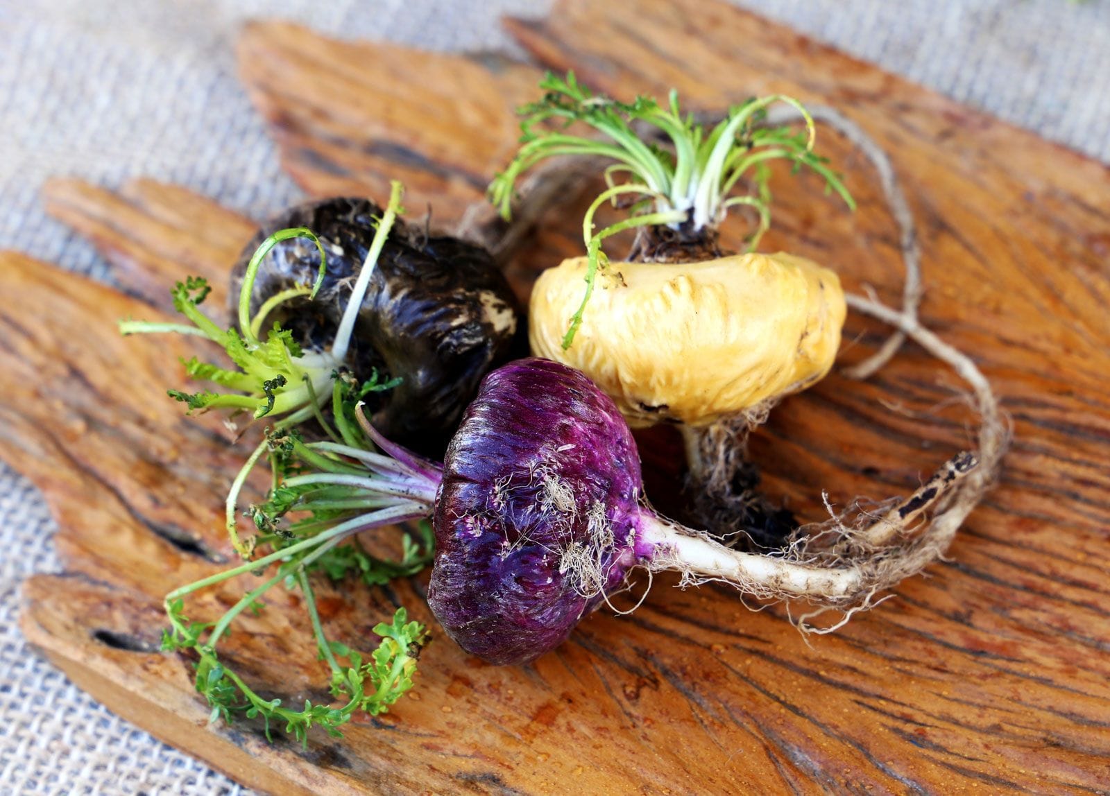 Maca Root