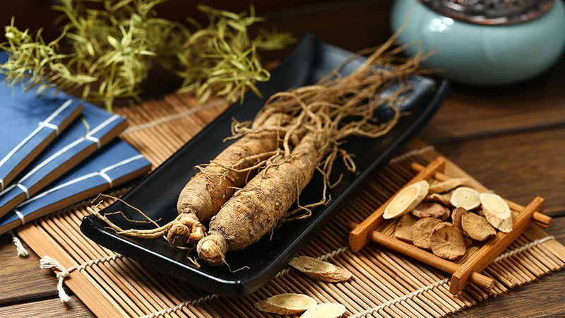 Panax Ginseng Root